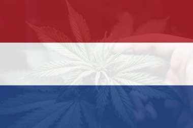 Hollanda 'da otun minimalizasyonu. Hollanda 'da esrar yasallaştırma. Hollanda 'da tıbbi kenevir. Hollanda bayrağında esrar yaprağı.