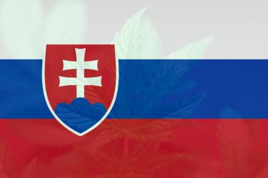 Slovakya 'da ot arındırma. Slovakya 'da esrarın yasallaştırılması. Slovakya 'da tıbbi esrar. Slovakya bayrağında esrar yaprağı.