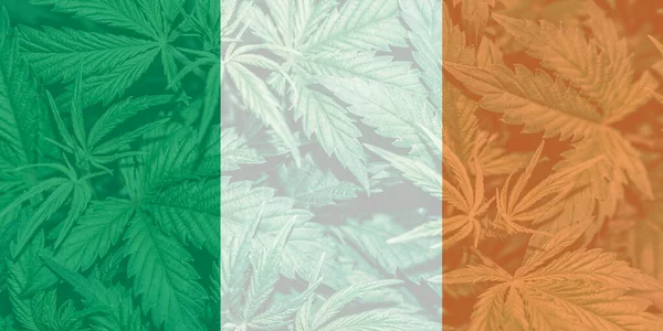 アイルランドの医療大麻 大麻の葉アイルランドの国旗にマリファナ アイルランドでは差別を受けている アイルランドにおける大麻の合法化 — ストック写真