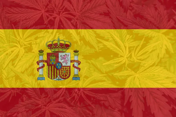 Medizinisches Cannabis Spanien Die Entkriminalisierung Von Unkraut Spanien Cannabis Legalisierung — Stockfoto