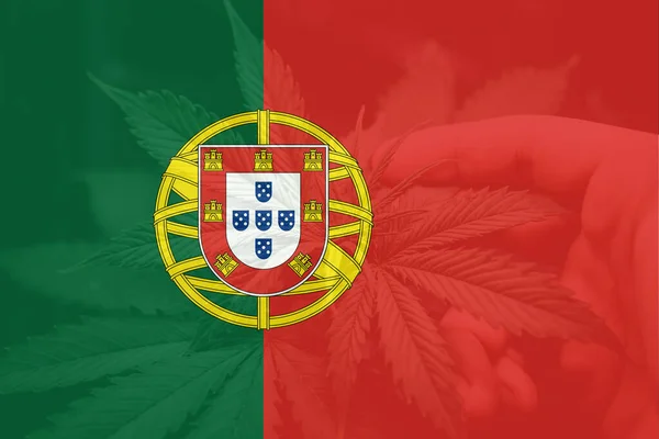 Medische Cannabis Portugal Cannabis Legalisering Portugal Blad Cannabis Marihuana Vlag — Stockfoto