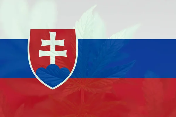 Weed Decriminalization Slovakia Cannabis Legalization Slovakia Medical Cannabis Slovakia Leaf — Stock Photo, Image