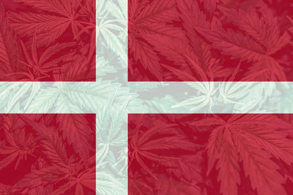 Лист Марихуаны Конопли Флаге Дании Декриминализация Травы Дании Легализация Конопли — стоковое фото