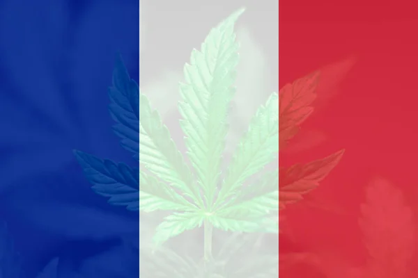 Cannabislegalisering Frankrike Medicinsk Cannabis Frankrike Avkriminalisering Gräs Frankrike Marijuanablad Frankrikes — Stockfoto