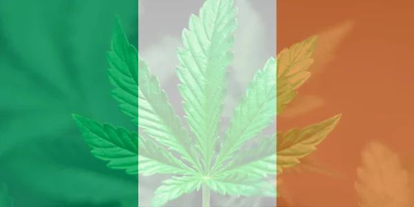 Cannabislegalisering Irland Medicinsk Cannabis Irland Marijuanablad Irlands Flagga Avkriminalisering Ogräs — Stockfoto