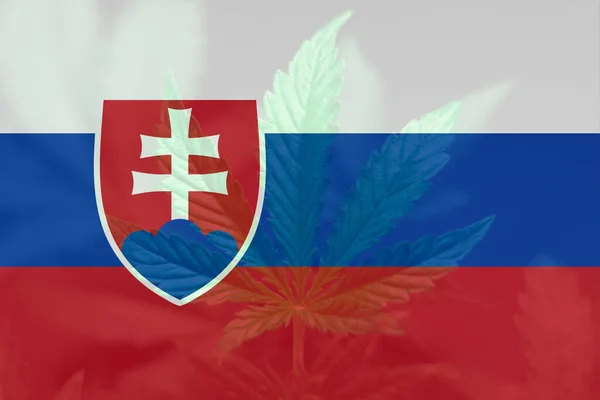 Avkriminalisering Ogräs Slovakien Cannabislegalisering Slovakien Medicinsk Cannabis Slovakien Marijuanablad Slovakiens — Stockfoto