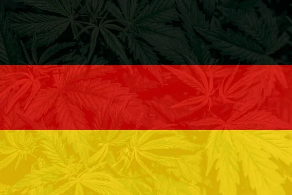 Weed Decriminalization Németországban Kannabisz Legalizáció Németországban Orvosi Kannabisz Németországban Kannabisz Jogdíjmentes Stock Képek