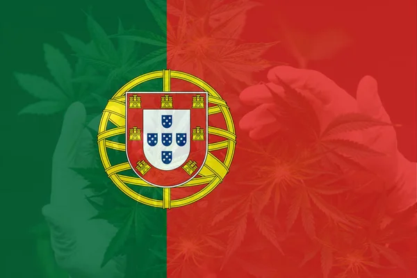 Weed Decriminalization Portugáliában Orvosi Kannabisz Portugáliában Kannabisz Legalizáció Portugáliában Kannabisz Jogdíjmentes Stock Fotók