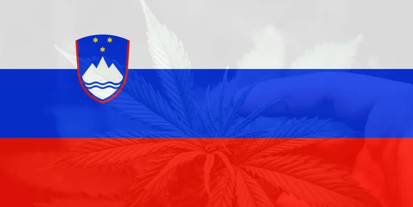Folha Maconha Cannabis Bandeira Eslovénia Despenalização Ervas Daninhas Eslovênia Legalização — Fotografia de Stock