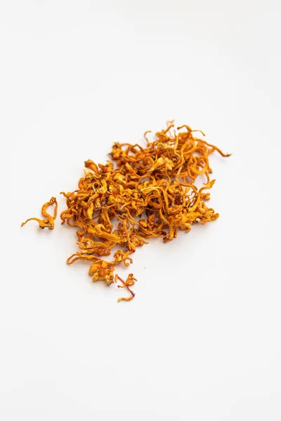 Fungos Para Saúde Humana Tratamento Com Adenosina Cordyceps Seco Cogumelo — Fotografia de Stock