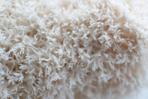 Hericium Erinaceus Lions Mane Mushrooms Тарелке Китайскими Палками Медицинский Гриб — стоковое фото