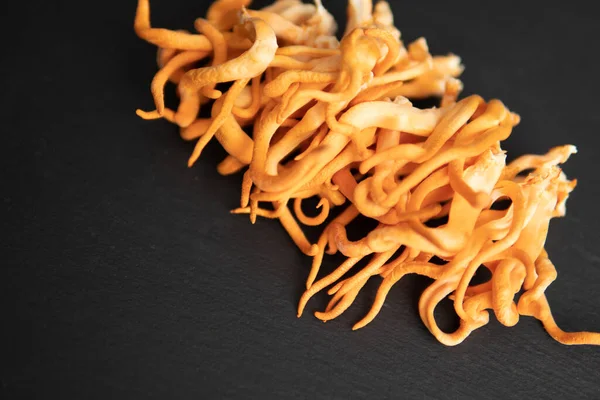 Cogumelo Cordyceps Militaris. Fungos Saúde Humana. Cordycepin Usando copyspace — Fotografia de Stock