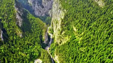 Derin Orman Kanyonu Hava Görüntüsü