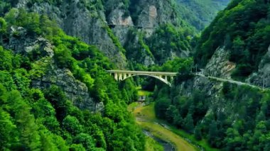 Taş Köprüsü olan Yeşil Orman Kanyonu