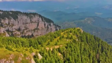  Çam Ormanı Dağ Kayalıklarına Bakar