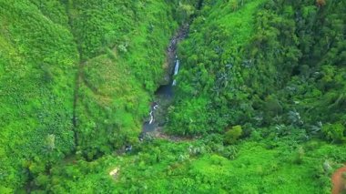Yeşil Ormanda akan şelale