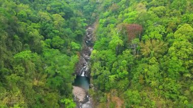 Nehir Vadisi Yoğun Ormanı Kesiyor