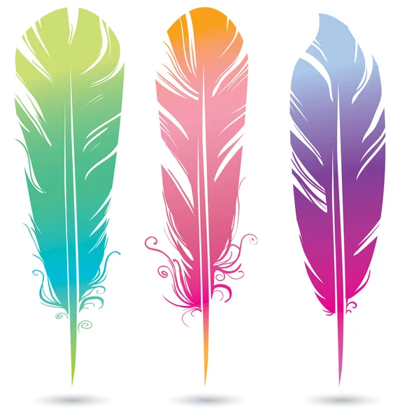 Color bright decorative feathers — Stock Vector