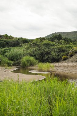Yunanistan 'ın Trakya bölgesinde Petrota ve Maronia yakınlarındaki dramatik kayalık. Dağlar, yeşil vadi ve bulutlu gökyüzü ile Trakya Meteoru olarak bilinen eşsiz doğal oluşumların manzarası. Seyahat yeri ve doğa arka plan kavramı.