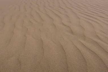 Rüzgâr şeklindeki kumsalın yakın çekimi yumuşak tepeler ve doğal erozyondan oluşan hassas hatlar içeriyor. İnce taneler pürüzsüz gradyanlar ve ince gölgeler yaratır, yüzeye heykel gibi, organik bir görünüm verir..