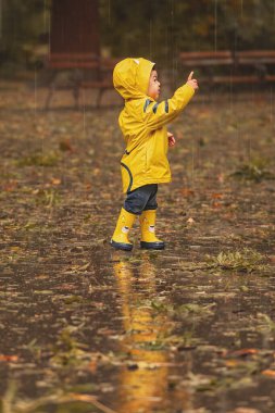 Parlak sarı yağmurluk ve uyumlu lastik botlar giyen mutlu genç bir çocuk, parkta ıslak bir yolda duruyor, gülümsüyor ve elinde bir oyuncakla yumuşak sonbahar yağmurunun tadını çıkarıyor.