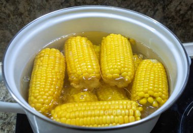 Üzerinde parlak sarı mısır koçanı üzerinde yakın plan siyah bir sobanın üzerinde beyaz bir tencerede kaynamış taze ve sağlıklı bir yaz yemeği pişiriyor.