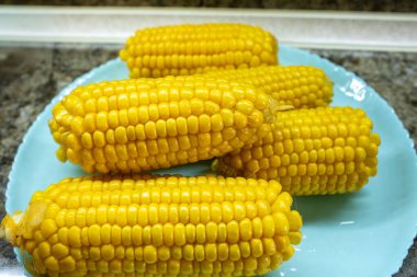 Açık mavi deniztarağı tabağında servis edilen birkaç parlak sarı haşlanmış mısır koçanı, koyu granit mutfak tezgahında dinleniyor, ölmeye hazır.
