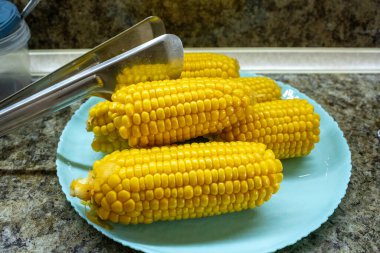 Açık mavi deniztarağı tabağında servis edilen birkaç parlak sarı haşlanmış mısır koçanı, koyu granit mutfak tezgahında dinleniyor, ölmeye hazır.