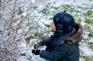 Kışın bahçede karla kaplı çalıları keşfeden küçük bir çocuk, ilk kar yağışında dallara dokunan çocuk, açık havada çocukluk anı, kış doğası ve merak.