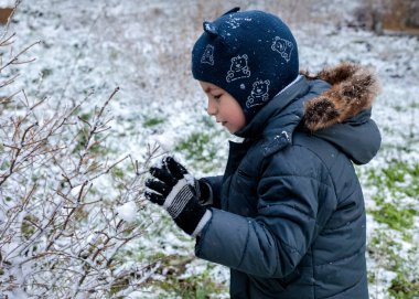 Kışın bahçede karla kaplı çalıları keşfeden küçük bir çocuk, ilk kar yağışında dallara dokunan çocuk, açık havada çocukluk anı, kış doğası ve merak.