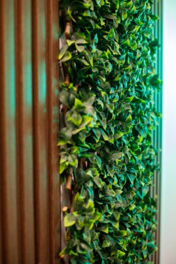 Ahşap çerçevede yapay sarmaşık yaprakları olan dikey yeşil duvar, modern iç tasarım için dekoratif bitki paneli, bereketli yaprak dokusuna sahip eko tarzı ev ya da ofis arka planı