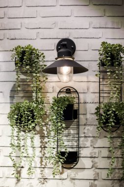 Beyaz tuğla duvarda asılı yeşil bitkilerle çevrili modern duvar lambası. Işık, yeşillik ve rahat modern tasarımı birleştiren şık iç dekorasyon konsepti.