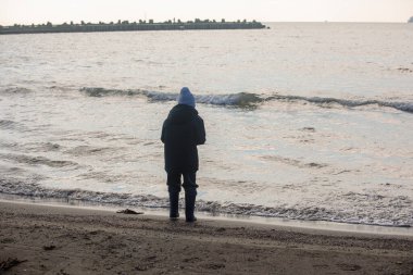Küçük çocuk deniz kenarında kumsalda yürüyor, güvercinleri ve kuğuları izliyor. Kuşlar, dalgalar ve doğal gün ışığı ile açık hava yaşam sahnesi
