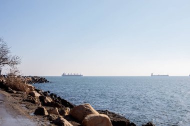 Sunny coastal promenade with rocky shoreline and dry reeds, calm blue sea and cargo ships on horizon. Peaceful seaside landscape under clear sky, travel and maritime concept