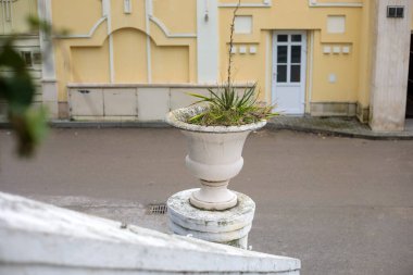 Kapısı, sütunları ve asfaltlı avlusu olan apartman cephesinin önündeki kaideye yerleştirilmiş yeşil çiçekli taş desenli ekici.