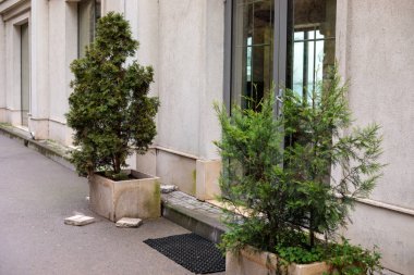 Binanın girişinde cam kapılı ve kaldırımlı dikdörtgen tarlalarda Evergreen çalıları