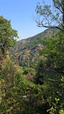 Bulgaristan 'da, açık mavi gökyüzü altında yemyeşil ağaçlarla çevrili ormanlık tepeler ve kayalık yamaçlar manzaralı bir yaz manzarası yaratıyor.