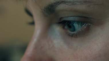 Bir bilgisayar monitörü, göz görünüyor