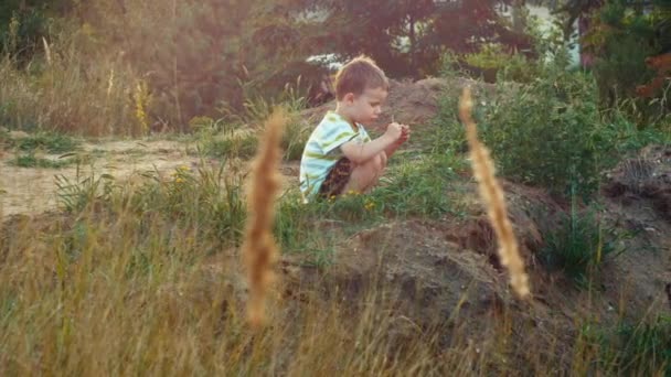 Ett barn leker nära skogen — Stockvideo