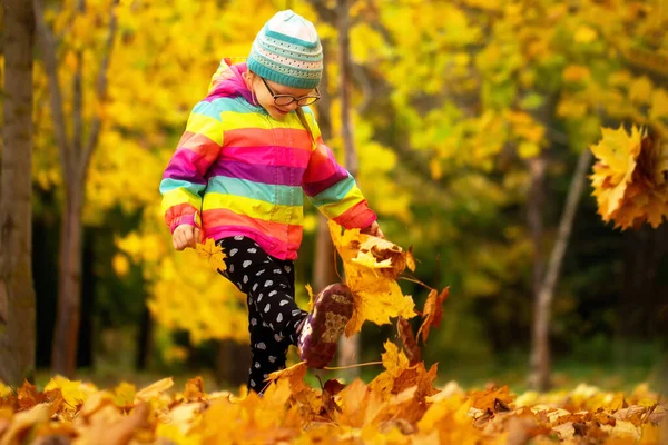 Ritratto Bambina Nel Parco Autunnale Ragazza Che Cammina Sul Fogliame — Foto Stock