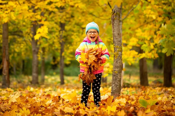 Wandern Herbstlichen Park Porträt Eines Kleinen Mädchens Mit Gelben Ahornblättern — Stockfoto