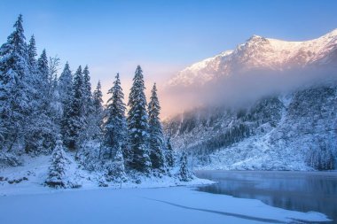 Kış dağları. Sabahları karlı dağ doğası. Dağ buz gölünün kıyısındaki güzel donmuş kar ormanı.