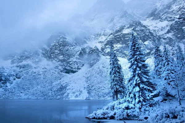 Paesaggio Montano Invernale Pini Ghiacciati Lago Montagna Ghiacciato Bella Natura — Foto Stock