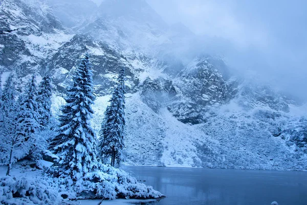 Téli Hegyvidéki Táj Jeges Téli Havas Erdőben Gyönyörű Fagyos Természet — Stock Fotó