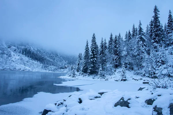 Buzlu Gölün Yakınındaki Dağlarda Fidan Ağaçları Kış Dağlarında Sis Kış — Stok fotoğraf