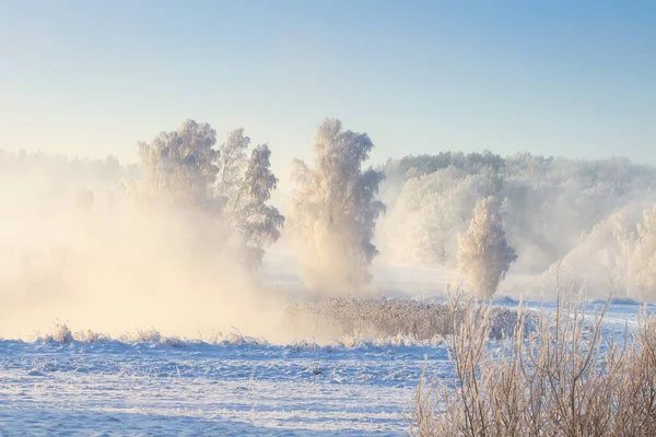 Mattina Limpida Inverno Alberi Ghiacciati Sulla Riva Del Fiume Paesaggio — Foto Stock