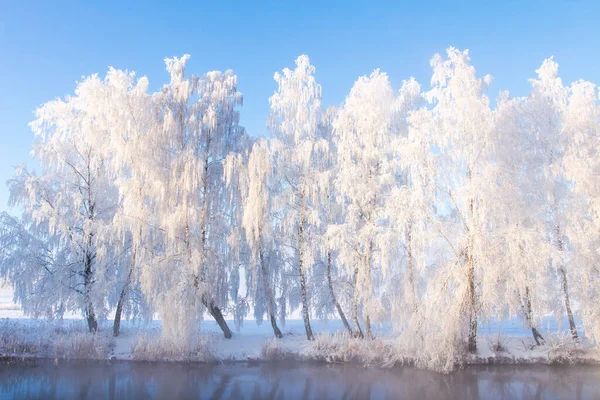 Зимняя Природа Живописные Снежные Деревья Берегу Реки Зимой Ледяной Утренний — стоковое фото