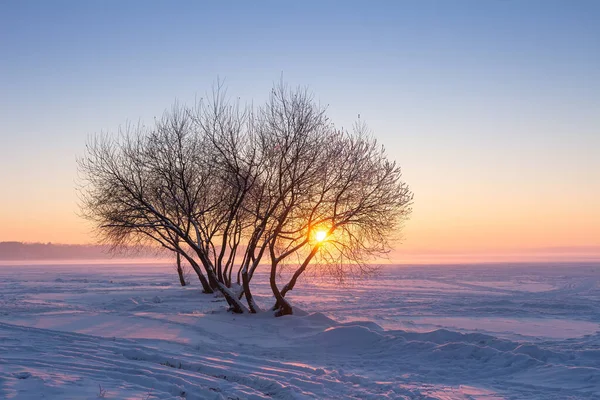 Зимний Закат Снежный Зимний Пейзаж Солнцем Горизонте Красивое Красочное Небо — стоковое фото
