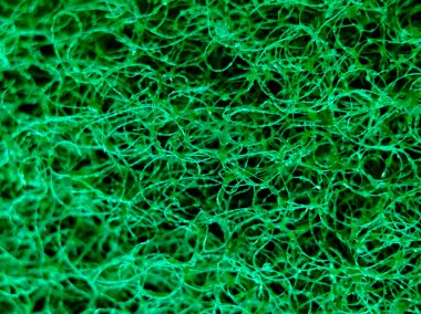 Close-up of a green scouring pad texture. 