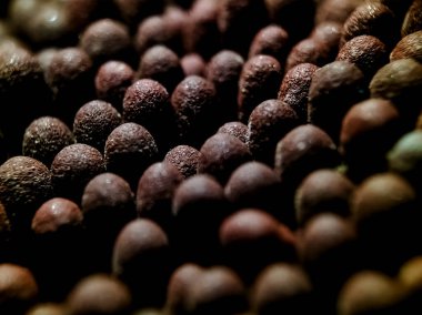 Eşleşen başların yakın plan görüntüsü desenli, granüler yüzey.